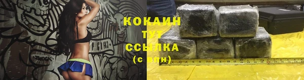 ПСИЛОЦИБИНОВЫЕ ГРИБЫ Аркадак