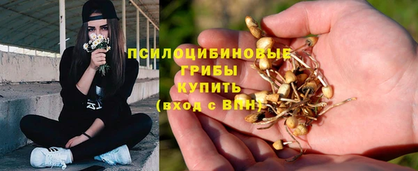ПСИЛОЦИБИНОВЫЕ ГРИБЫ Аркадак