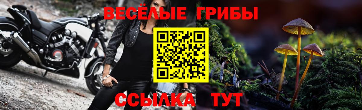 Псилоцибиновые грибы мицелий  Вход с VPN  Курган 